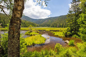 Kleiner Arbersee