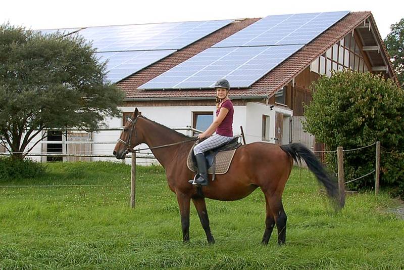 Bei uns können Sie reiten